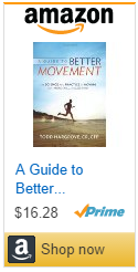 a guide to better movement by todd hargrove