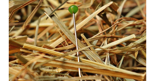 Finding the best work at home opportunity can be like looking for a needle in a haystack